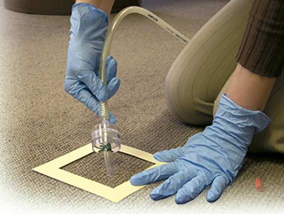 alternate product image
